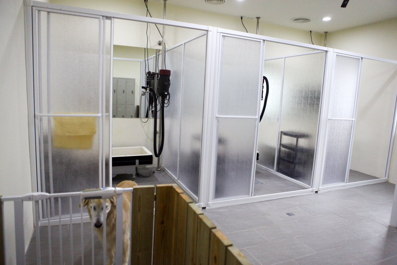 可可-1-64.jpg 可可-1-64.jpg