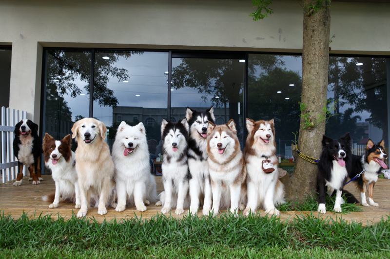 目斗-1-32.jpg 目斗-1-32.jpg