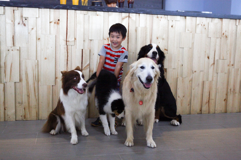 可可-67.jpg 可可-67.jpg