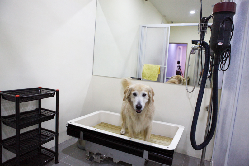 可可-1-62.jpg 可可-1-62.jpg