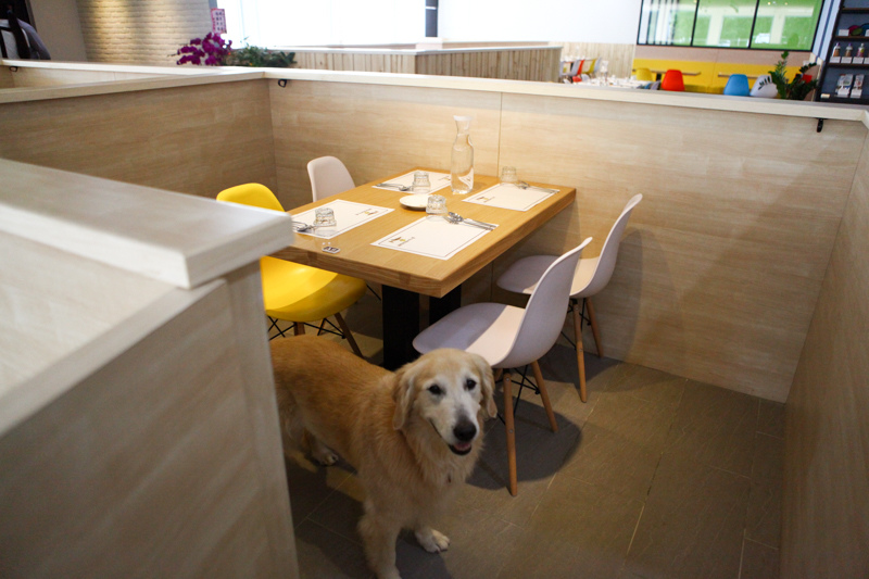 可可-117.jpg 可可-117.jpg