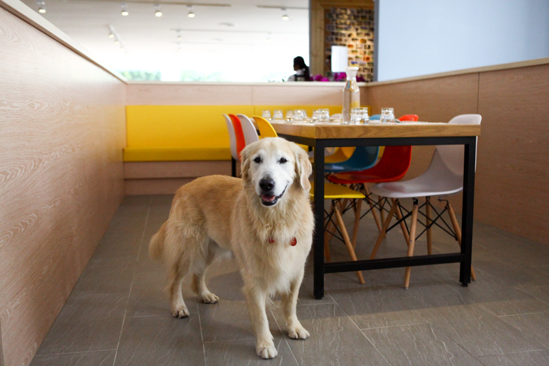 可可-126.jpg 可可-126.jpg