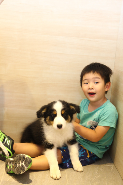 目斗-1-17.jpg 目斗-1-17.jpg