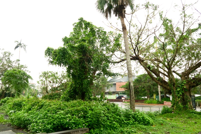 宜蘭遊：鐵道一日暢遊《幾米廣場》、《小火車咖啡館》（下）