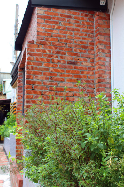 路易先生早午餐：[台南]就是要吃brunch 路易先生早午餐