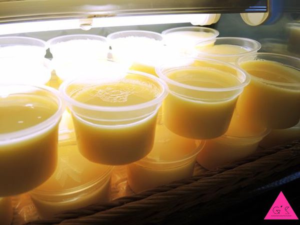 [GS愛吃鬼]宜蘭X礁溪X珍典精緻自助火鍋XCP值高到嚇一跳美味火鍋