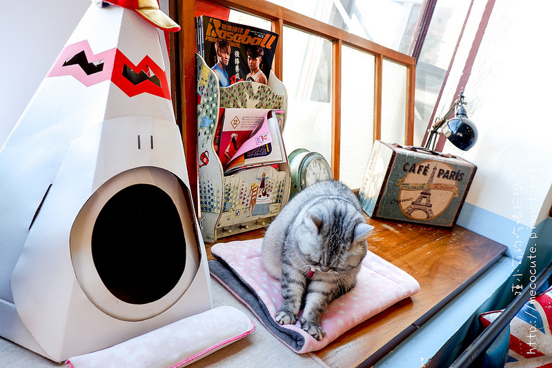  @陳小可的吃喝玩樂