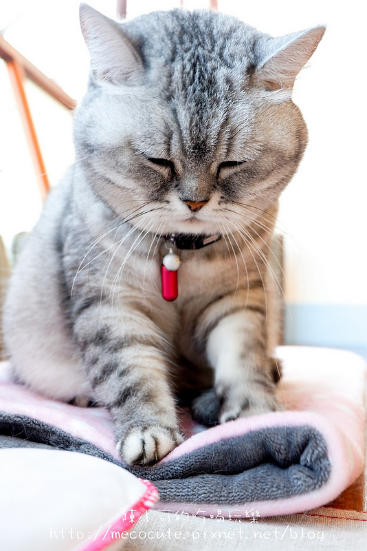  @陳小可的吃喝玩樂