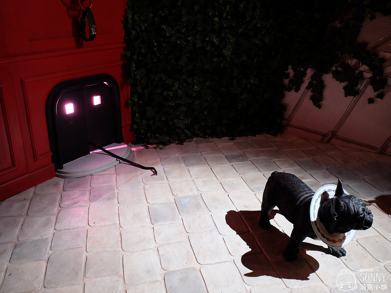 愛馬仕奇境漫遊展覽