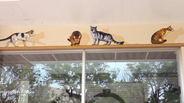 7-11 統一超商：【雲林景點】魔法貓屋7-11斗六保庄門市。快來喲!!~又有新的立體貓咪彩繪新作囉/小七超商應徵了喵星人/魔法森林喵咪的異想世界