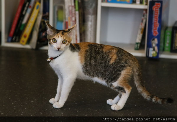 PSX_20150712_160620.jpg PSX_20150712_160620.jpg