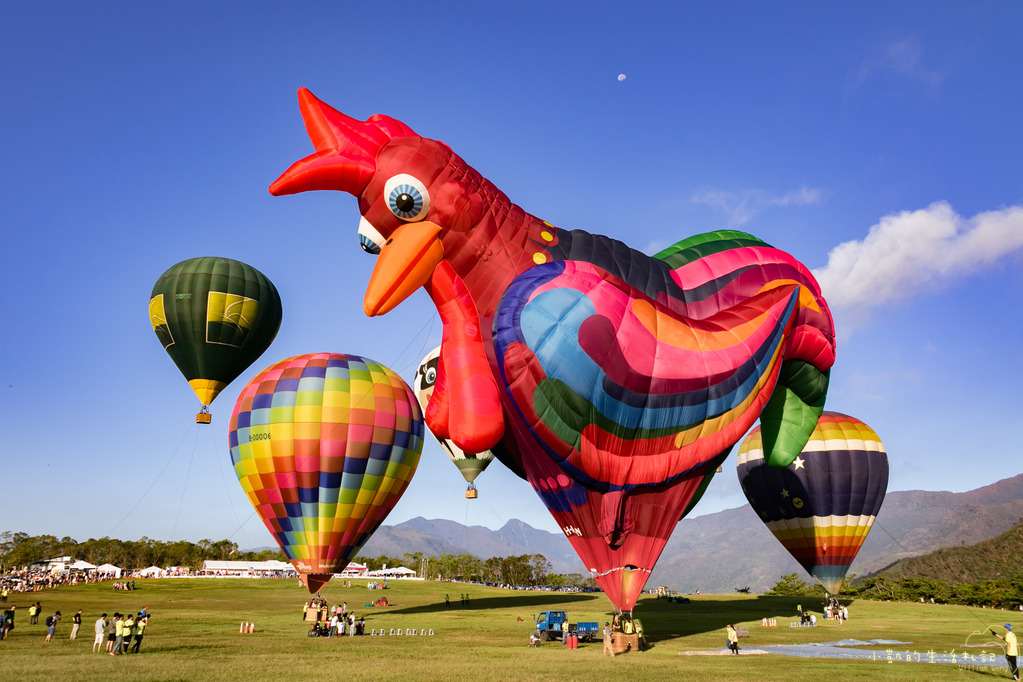 『遊記』台東遊 鹿野高台熱氣球 大坡池 池上飯包博物館 紅葉國小 豐源國小 -160723