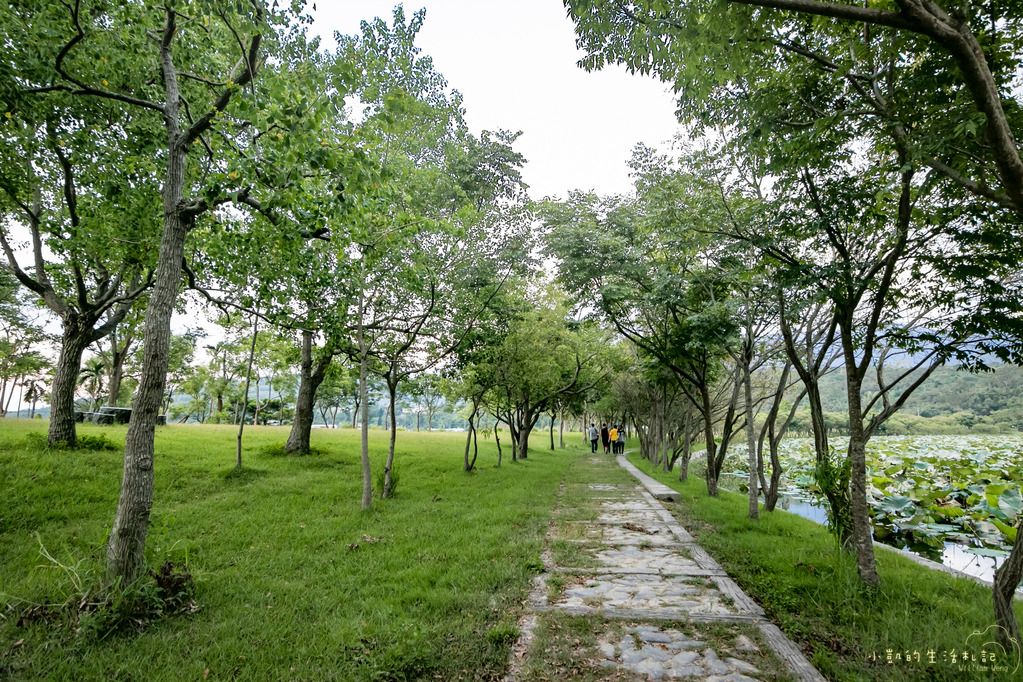 『遊記』台東遊 鹿野高台熱氣球 大坡池 池上飯包博物館 紅葉國小 豐源國小 -160723