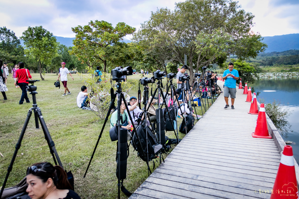 『遊記』台東遊 鹿野高台熱氣球 大坡池 池上飯包博物館 紅葉國小 豐源國小 -160723