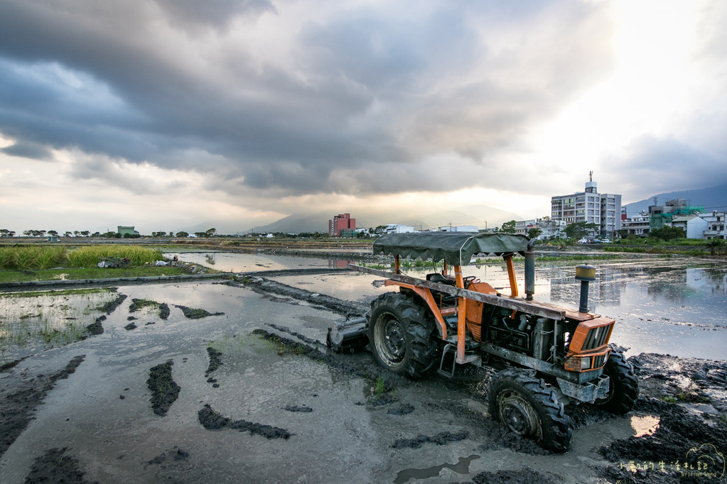 『遊記』台東遊 鹿野高台熱氣球 大坡池 池上飯包博物館 紅葉國小 豐源國小 -160723