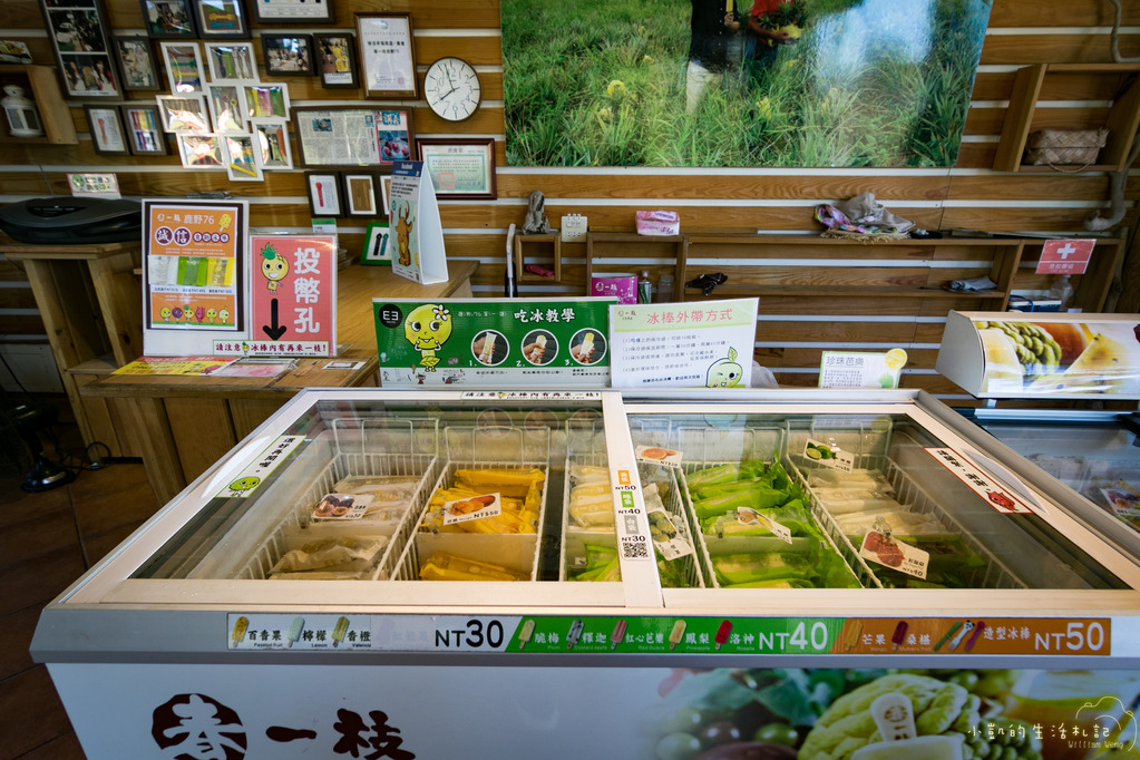 『遊記』台東遊 鹿野高台熱氣球 大坡池 池上飯包博物館 紅葉國小 豐源國小 -160723