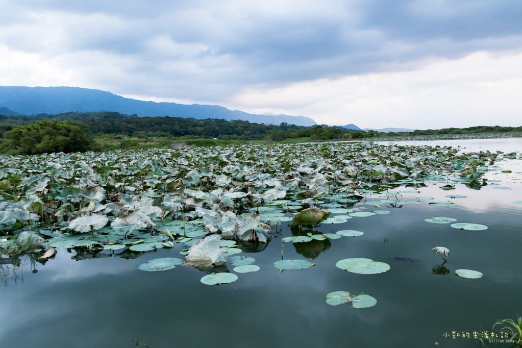 『遊記』台東遊 鹿野高台熱氣球 大坡池 池上飯包博物館 紅葉國小 豐源國小 -160723