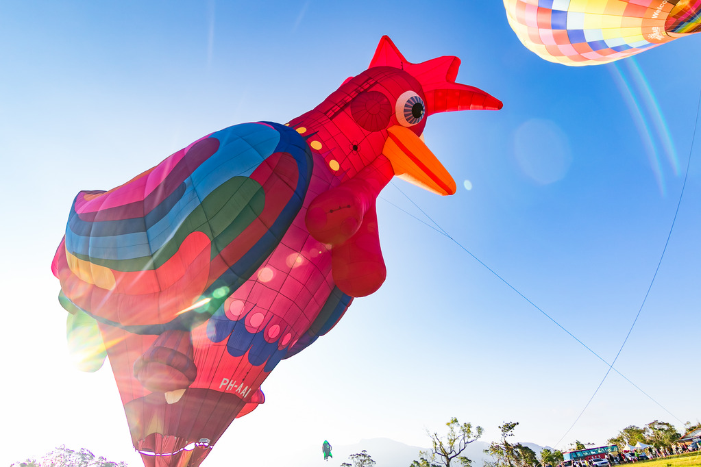 『遊記』台東遊 鹿野高台熱氣球 大坡池 池上飯包博物館 紅葉國小 豐源國小 -160723