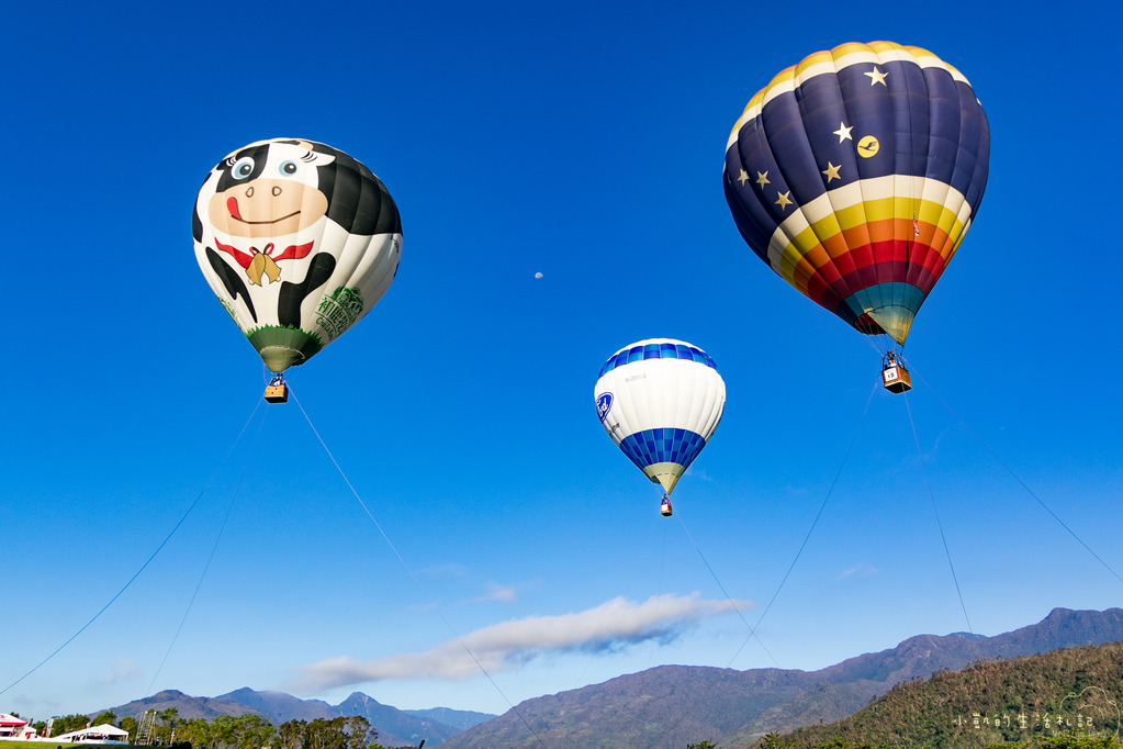 『遊記』台東遊 鹿野高台熱氣球 大坡池 池上飯包博物館 紅葉國小 豐源國小 -160723