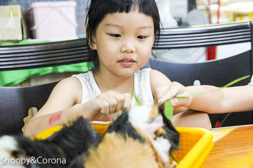 【宜蘭景點】礁溪親子景點／宜蘭室內景點／甲蟲森林生態教室～豐富有趣的自然生態，還有讓人驚聲尖叫的肥大雞母蟲