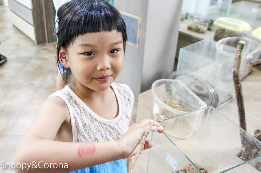 【宜蘭景點】礁溪親子景點／宜蘭室內景點／甲蟲森林生態教室～豐富有趣的自然生態，還有讓人驚聲尖叫的肥大雞母蟲
