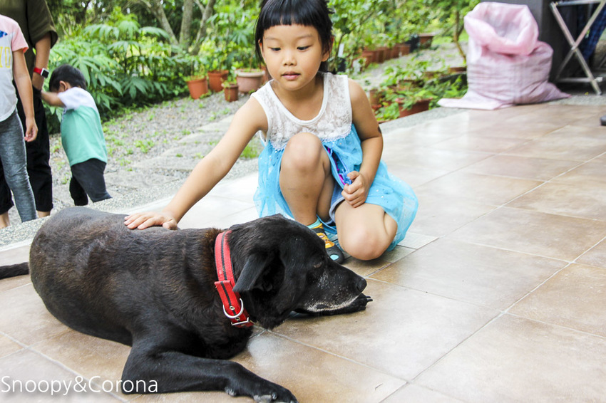【宜蘭景點】礁溪親子景點／宜蘭室內景點／甲蟲森林生態教室～豐富有趣的自然生態，還有讓人驚聲尖叫的肥大雞母蟲
