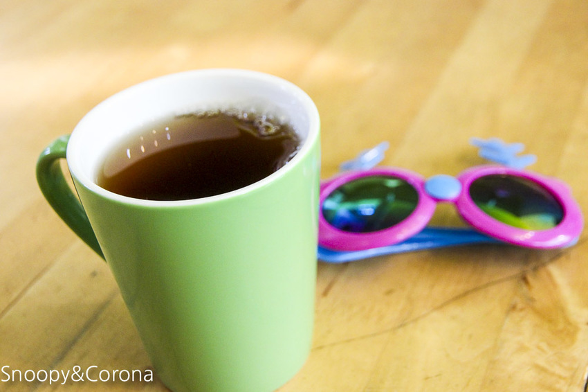 【宜蘭景點】礁溪親子景點／宜蘭室內景點／甲蟲森林生態教室～豐富有趣的自然生態，還有讓人驚聲尖叫的肥大雞母蟲