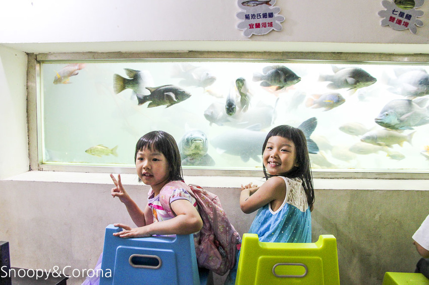 【宜蘭景點】礁溪親子景點／宜蘭室內景點／甲蟲森林生態教室～豐富有趣的自然生態，還有讓人驚聲尖叫的肥大雞母蟲