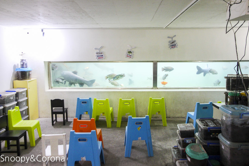 【宜蘭景點】礁溪親子景點／宜蘭室內景點／甲蟲森林生態教室～豐富有趣的自然生態，還有讓人驚聲尖叫的肥大雞母蟲