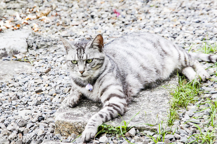 【宜蘭景點】礁溪親子景點／宜蘭室內景點／甲蟲森林生態教室～豐富有趣的自然生態，還有讓人驚聲尖叫的肥大雞母蟲