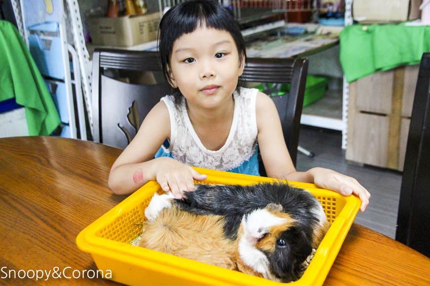 【宜蘭景點】礁溪親子景點／宜蘭室內景點／甲蟲森林生態教室～豐富有趣的自然生態，還有讓人驚聲尖叫的肥大雞母蟲