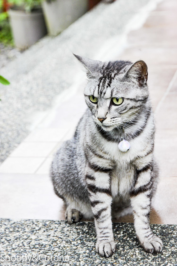 【宜蘭景點】礁溪親子景點／宜蘭室內景點／甲蟲森林生態教室～豐富有趣的自然生態，還有讓人驚聲尖叫的肥大雞母蟲