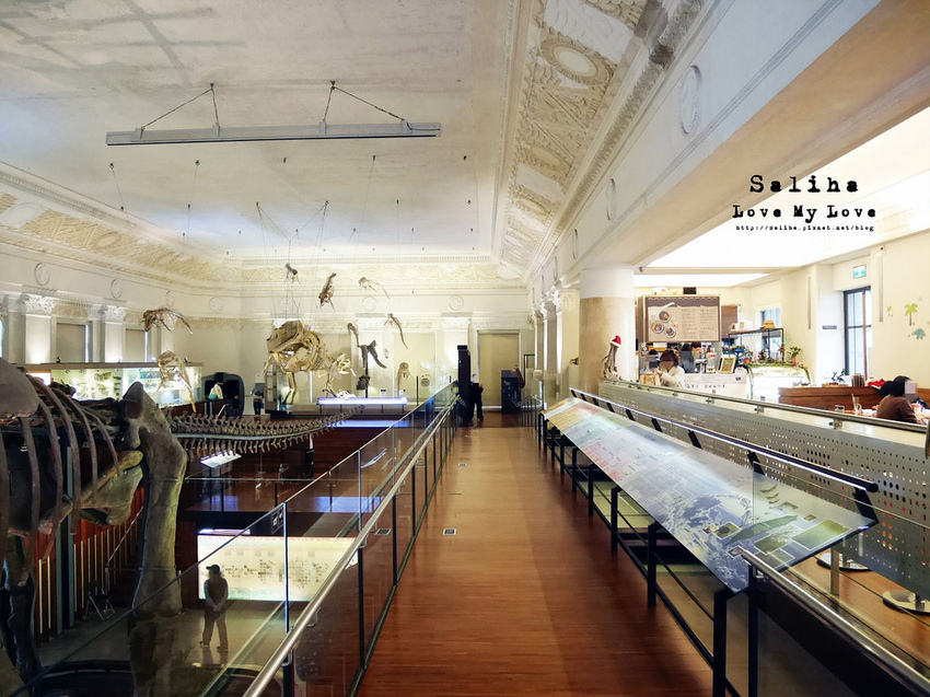 台北車站親子餐廳台灣博物館石尚恐龍主題餐廳恐龍咖啡館 (5) 台北車站親子餐廳台灣博物館石尚恐龍主題餐廳恐龍咖啡館 (5)