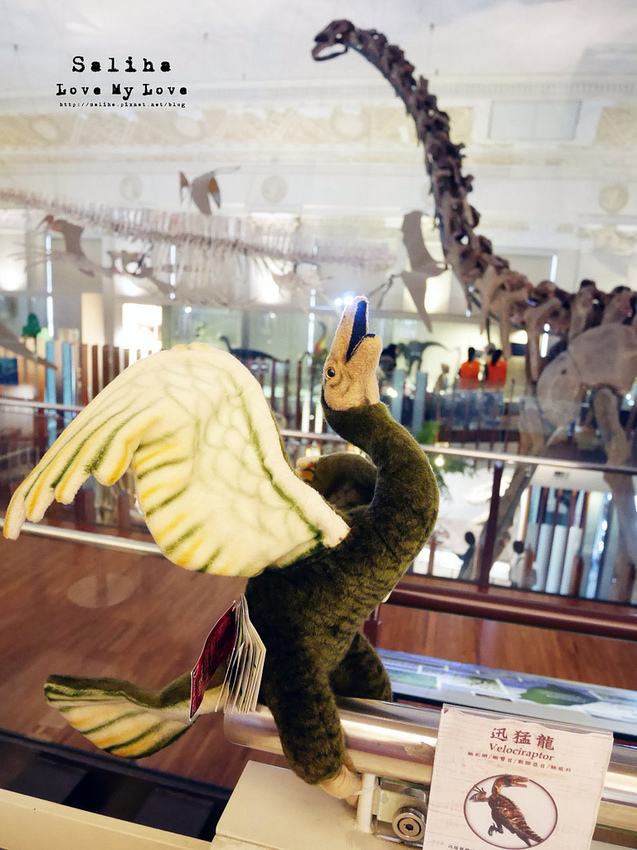 台北恐龍博物館台北車站台大醫院站負進親子餐廳咖啡廳下午茶雨天景點 (1) 台北恐龍博物館台北車站台大醫院站負進親子餐廳咖啡廳下午茶雨天景點 (1)