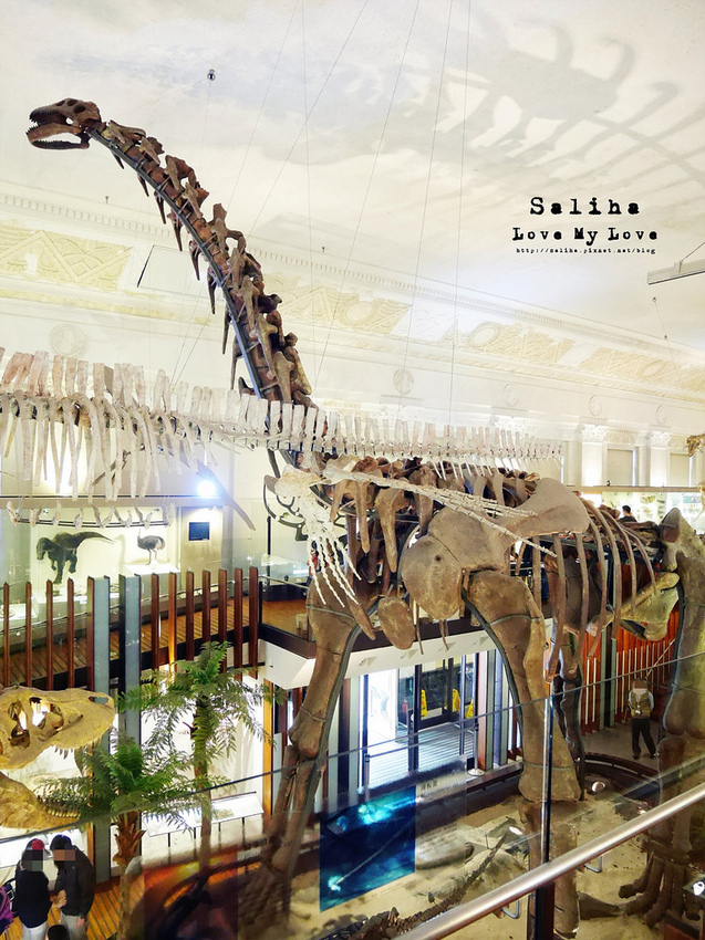 台北車站親子餐廳台灣博物館石尚恐龍主題餐廳恐龍咖啡館 (6) 台北車站親子餐廳台灣博物館石尚恐龍主題餐廳恐龍咖啡館 (6)