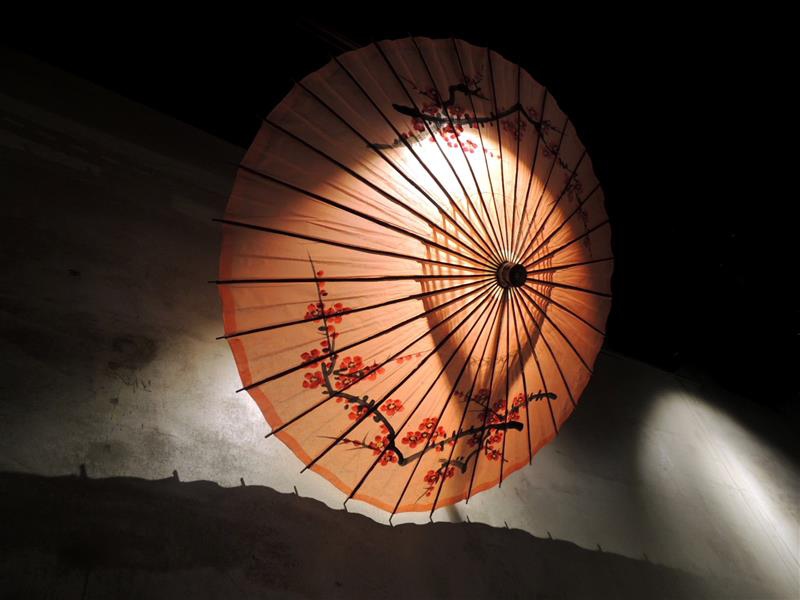 中國瘋 奇味雞009.jpg