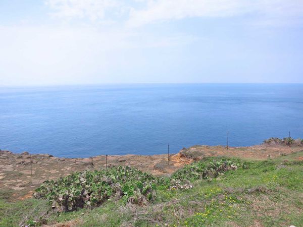 澎湖本島一日遊景點、老街、伴手禮完整旅遊行程規劃