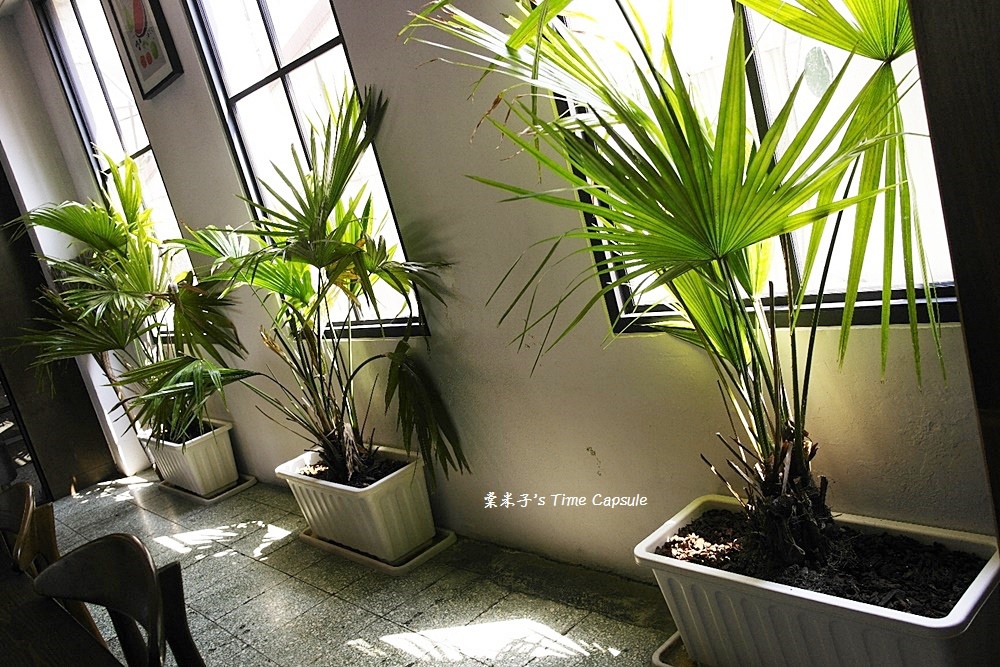 [台南東區]長鼻子泰式咖哩-多種不同辣度的咖哩X火鍋!!!