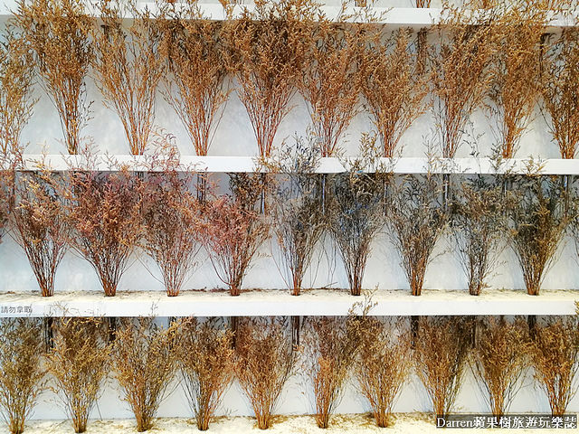 『桃園日式冰店』長腿食驗室★IG熱門打卡實驗風格有花牆甜點店抹茶冰超好拍/鄰近桃園藝文特區主題風格下午茶甜點店