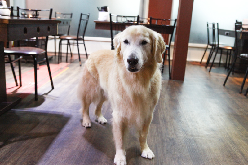 茶餐廳-1-15.jpg 茶餐廳-1-15.jpg