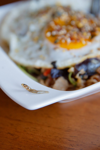 【水湳洞/九份咖啡民宿】兩萬里咖啡民宿20000league Cafe-寰兒私房推薦