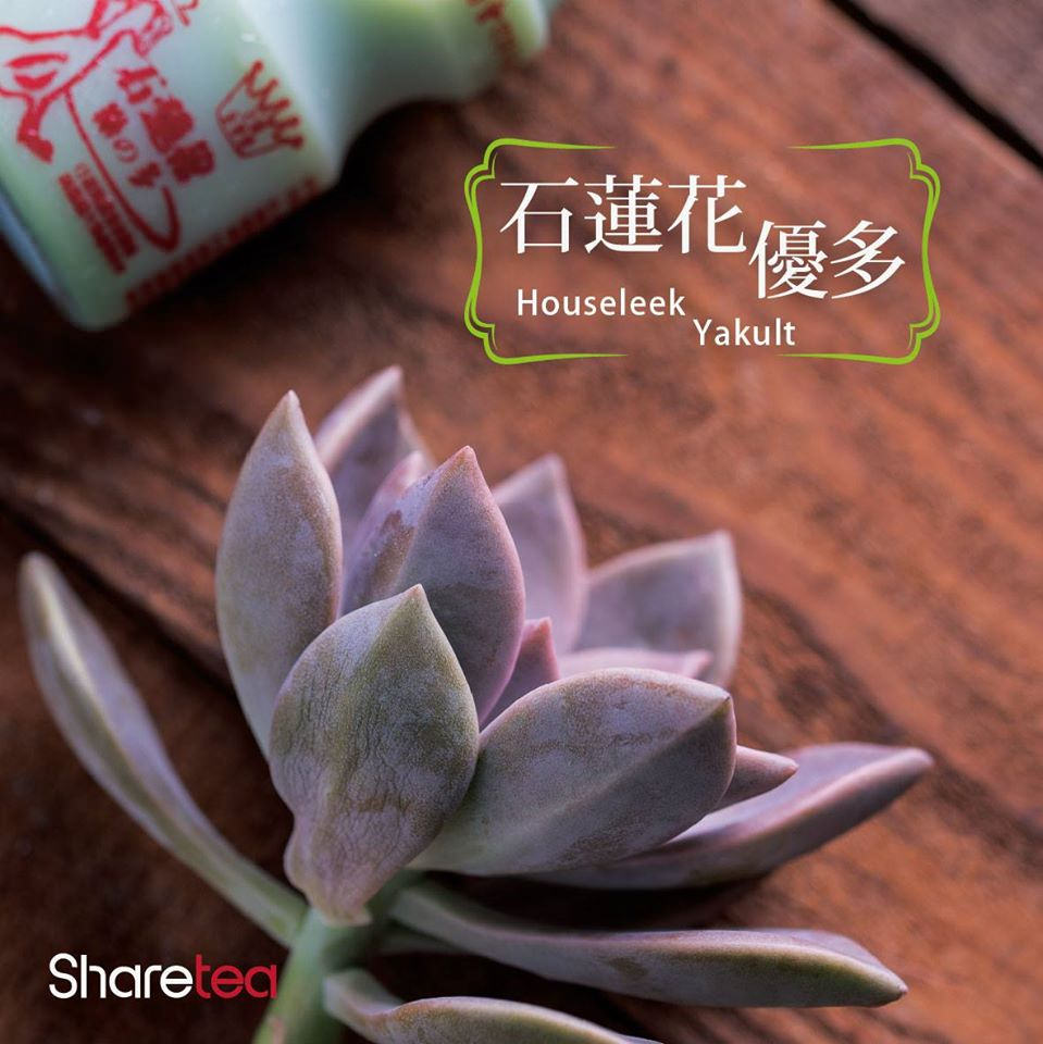 11036374_1668173900080452_1053981525597454969_o