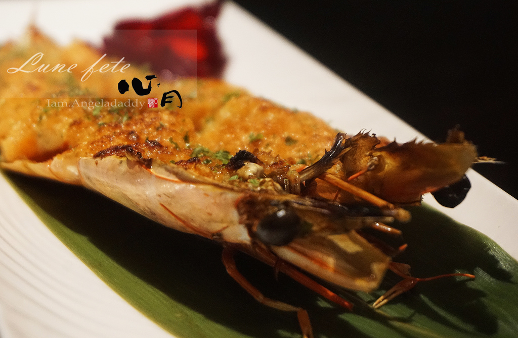 DSC05652.JPG DSC05652.JPG