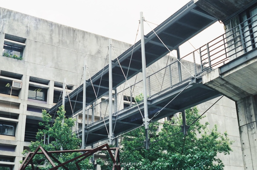台北大直【實踐大學】拾起相機 找回攝影的初衷與那份執著