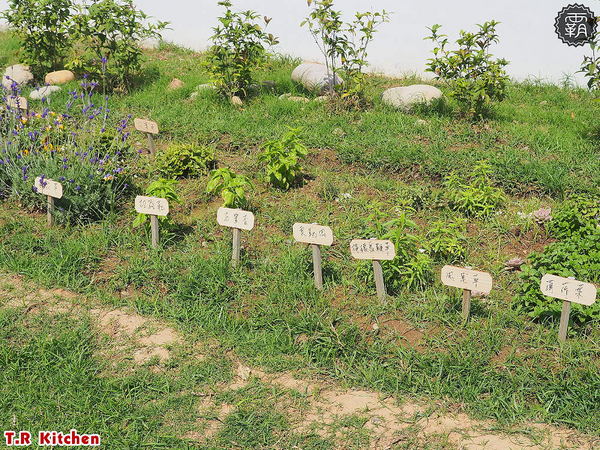 T.R kitchen義式廚房: T.R Kitchen義法私廚料理,北屯美食聚餐推薦,在地食材融入義法料理,桂丁雞軟嫩、肋眼牛肉汁香甜~