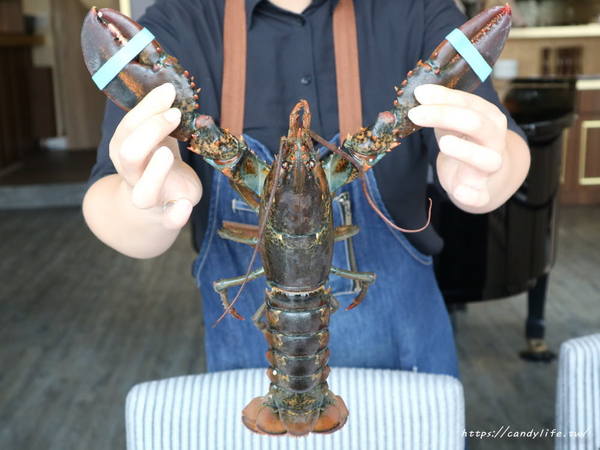 T.R kitchen義式廚房:台中美食│T.R Kitchen〃大坑義法料理推薦!!波士頓活龍蝦入料,用料實在,裝潢氣派,台中約會首選餐廳~