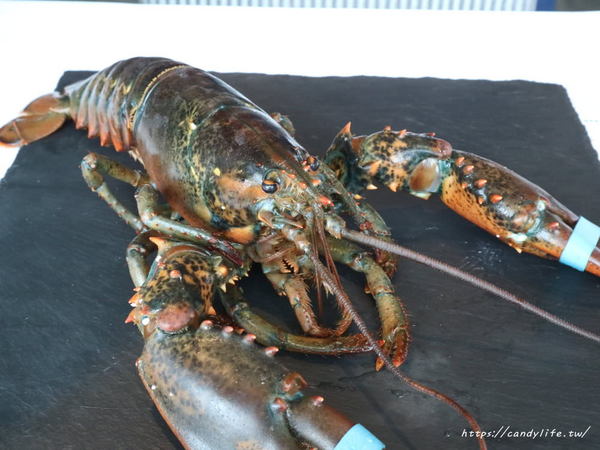 T.R kitchen義式廚房:台中美食│T.R Kitchen〃大坑義法料理推薦!!波士頓活龍蝦入料,用料實在,裝潢氣派,台中約會首選餐廳~