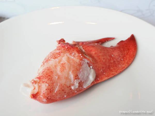 T.R kitchen義式廚房:台中美食│T.R Kitchen〃大坑義法料理推薦!!波士頓活龍蝦入料,用料實在,裝潢氣派,台中約會首選餐廳~