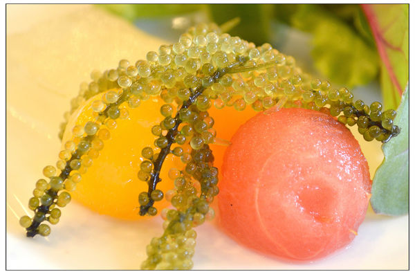 台中南屯区~台南担仔面国际连锁海鲜餐厅