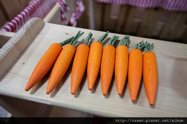 [親子]陽光、綠意、歡笑～童遊森林館 PLAY TOGETHER。